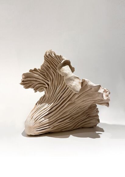 Flesh - a Sculpture & Installation Artowrk by Evelyn Bressan